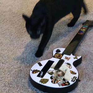 肏屄按摩九久久
